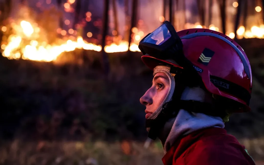 Habilita Portugal 7 millones de euros para la recuperación ambiental inicial tras los incendios