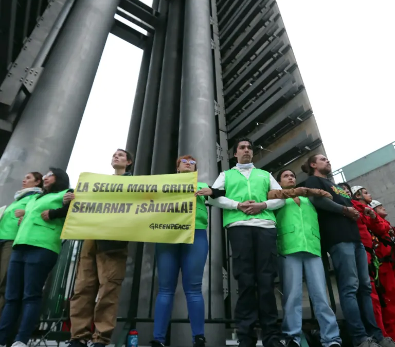 Greenpeace pide al Gobierno mexicano proteger la Selva Maya