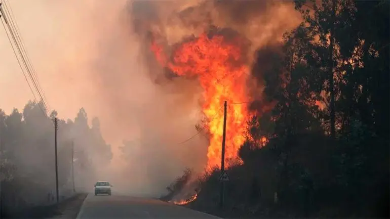 Caen dos abuelitas pirómanas autoras de varios incendios forestales