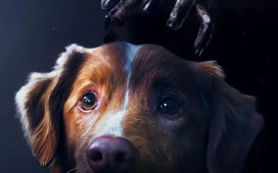 Good boy: La Película de Terror Canina ya tiene fecha de estreno en México