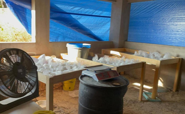 Desmantelan bodega de almacenamiento para drogas en Morelos; aseguran 110 bolsas con cristal