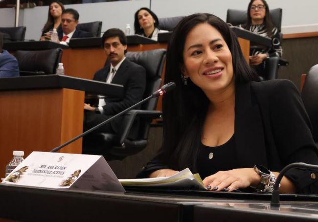 Piden Senadoras del PT a la Secretaría de Salud mejorar acciones para prevenir el suicidio de jóvenes.