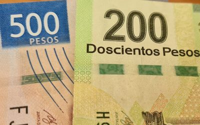 Edomex y Jalisco ofrecen descuentos en multas y recargos por El Buen Fin