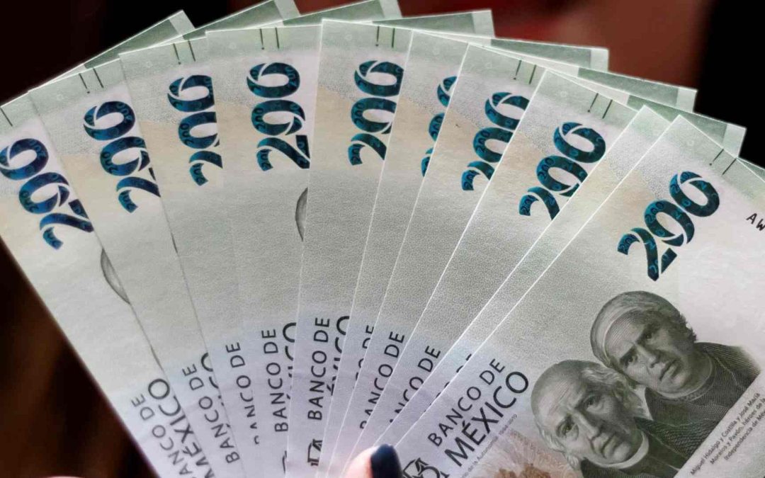 Seguro de Desempleo en la CDMX, ¿cómo solicitar el apoyo económico?