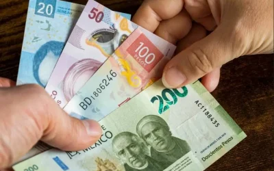 Urge ONG incrementar 16% el salario mínimo en 2026 para combatir la pobreza