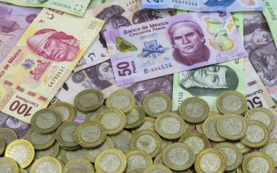 Guía para organizar tus finanzas al inicio del año