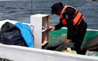 Instituto de Investigación Pesquera alerta sobre pesca ilegal en Mérida; piden fortalecer trazabilidad