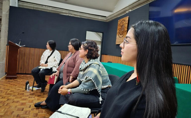 Acusan a Citlalli Hernández de llamar a boicotear Totalplay de Salinas Pliego