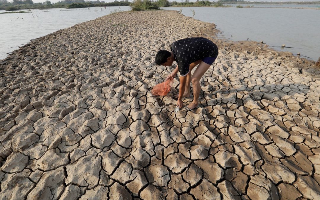 Alteran “El Niño” y “La Niña” el equilibrio de los ecosistemas marinos y la pesca