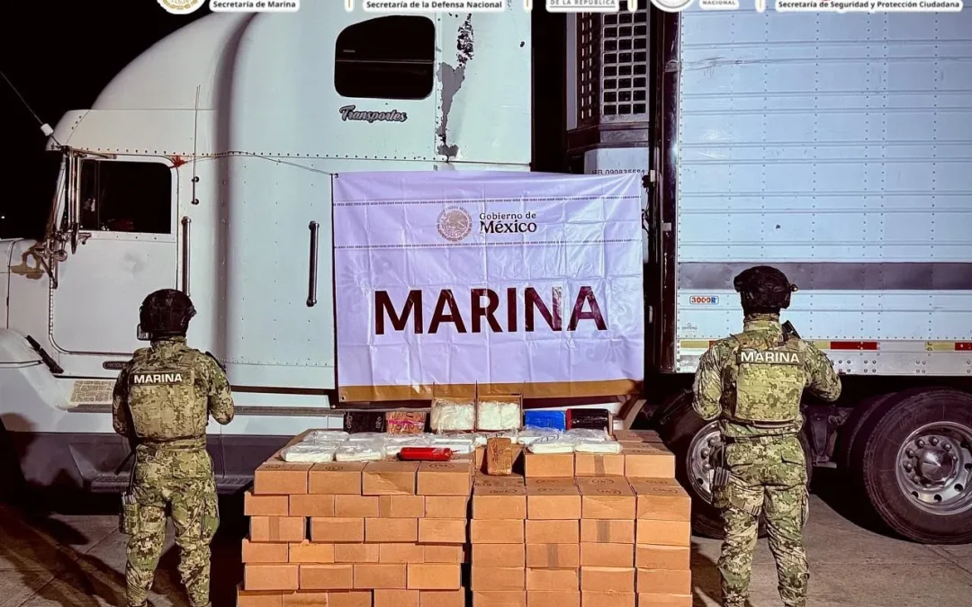 Decomisan más de media tonelada de droga en Sinaloa, informa SSPC