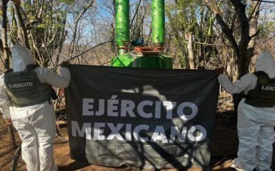Desmantelan las FA otro laboratorio para elaborar drogas en Michoacán