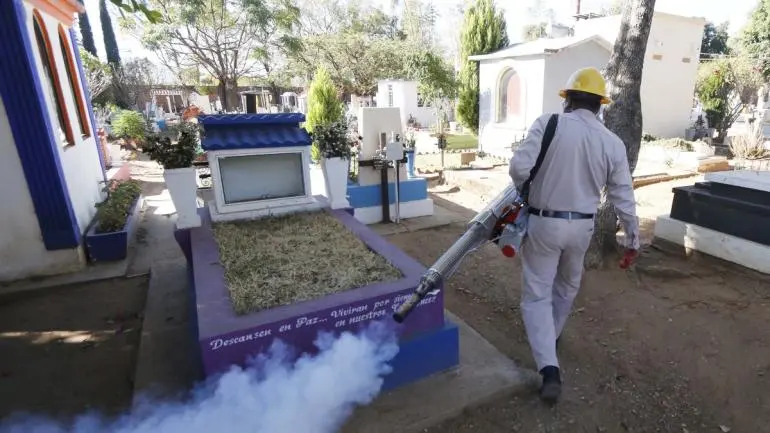 Alerta epidemiológica en México ante el riesgo de rebrote de fiebre Chikungunya