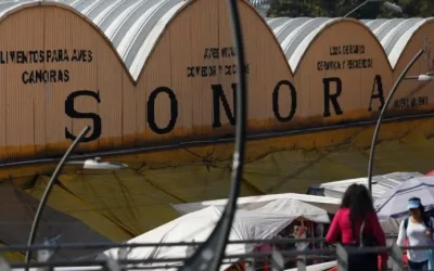 Mercado de Sonora dejará de vender animales tras años de denuncias