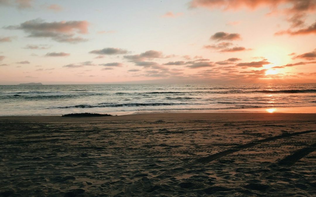 Cofepris revela las playas de México a las que no debes ir en estas vacaciones de fin de año