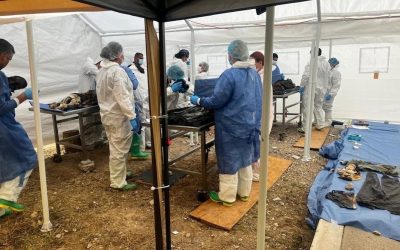 Llega a 160 el número de cuerpos identificados del Crematorio Plenitud en Ciudad Juárez