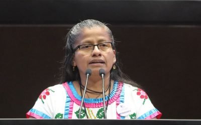Propone C. de Diputados expedir la Ley General de Bienestar de los Animales