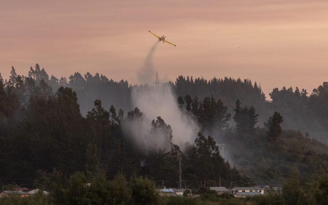 Se reactivan incendios forestales en Chile. Ya suman 19 las víctimas.