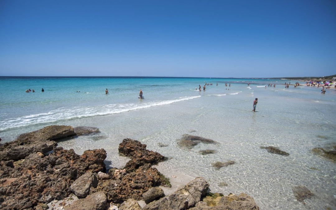 Récord de calentamiento y olas de calor marinas en el Mediterráneo en 2025