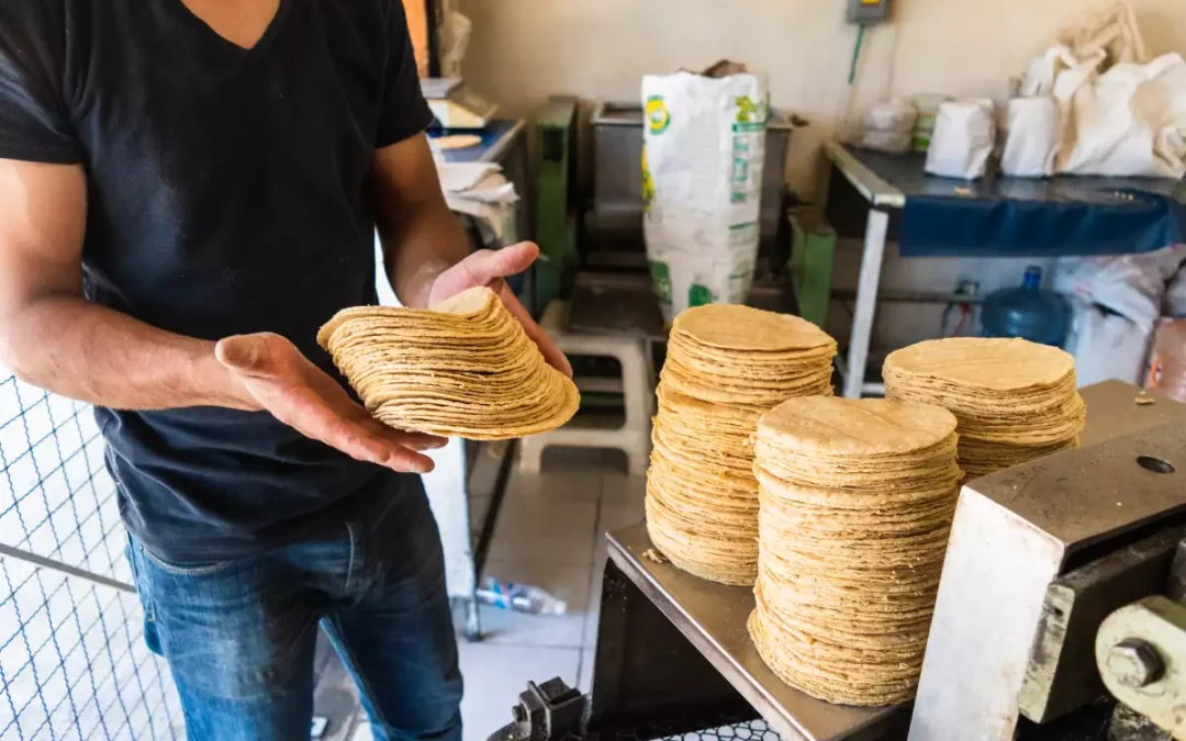 Gruma acuerda modificar contratos con tortilleros tras resolución antimonopolio