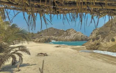 Aplican medidas para que Tulum recupere el prestigio turístico que perdió.