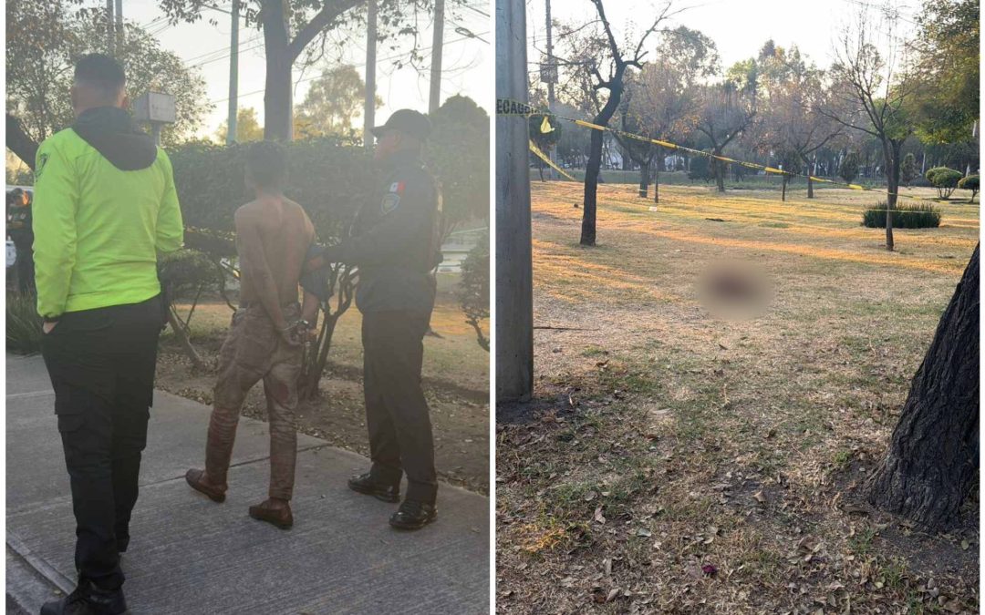 Sujeto mata a dos perros en Insurgentes Norte, CDMX; a uno le quitó la piel