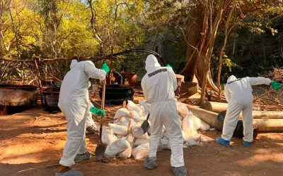 Localizan en Sinaloa laboratorios clandestinos