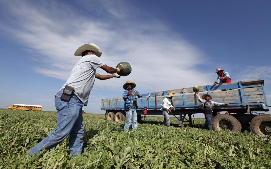 Estados Unidos es lo que es gracias a migrantes poblanos: Sheinbaum
