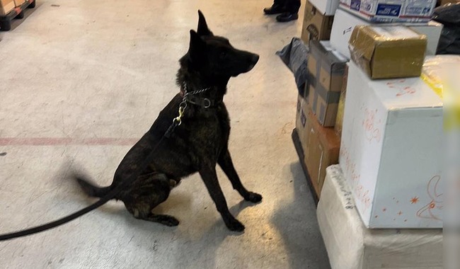 Aseguran En el AICM un paquete con fentanilo enviado desde un país asiático