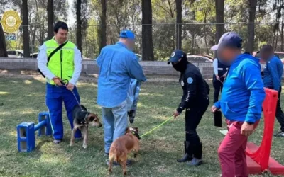 Constata Refugio Franciscano cuidados de animales en la BVA de Xochimilco