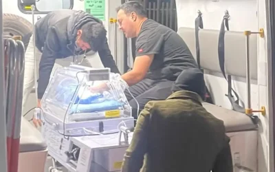 Rescatan a bebé abandonado en viñedo de Hermosillo
