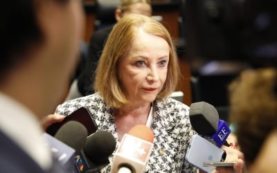 Sin consenso no procederá una Reforma Electoral: presidenta del Senado