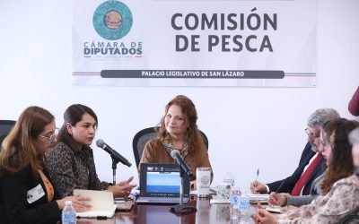 Comisión analiza con secretarías de Estado y organizaciones civiles áreas de oportunidad para el sector pesquero