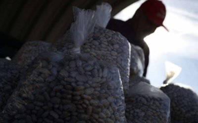 Gobierno y sector privado lanzan programa para fortalecer clústeres agroalimentarios