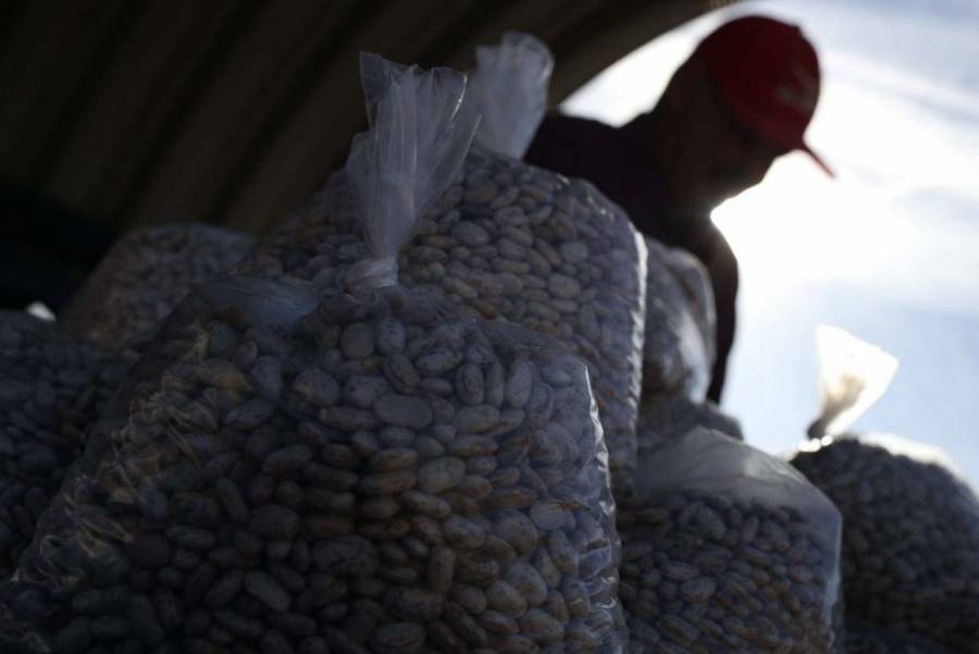 Gobierno y sector privado lanzan programa para fortalecer clústeres agroalimentarios