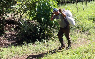 Creció la actividad económica en México 3.3% interanual en Diciembre de 2025