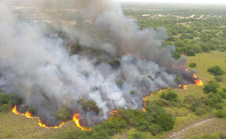 Incendio forestal en La Sepultura, Chiapas, arrasa 720 hectáreas