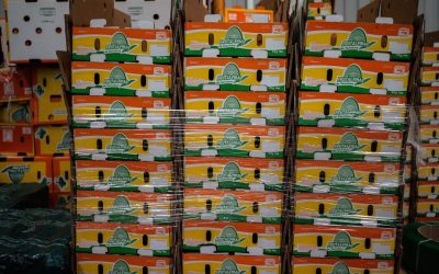 Exportaciones hacia EU rompieron récord en noviembre