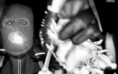 Detienen a un sospechoso por el secuestro de Nancy Guthrie