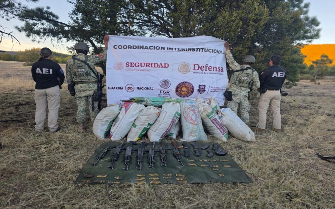 Armas y más de 100 kilos de mariguana aseguran GN, Ejército y policías en Guerrero, Chih.