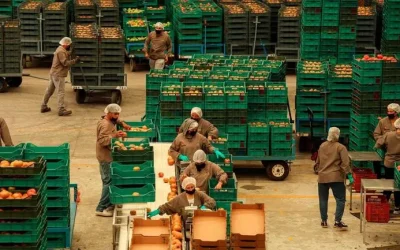 Elevan a 1.25% proyección del crecimiento económico para México en 2026