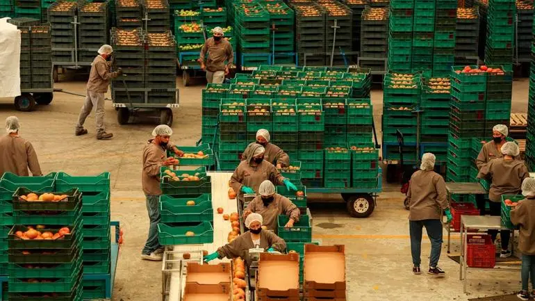 Elevan a 1.25% proyección del crecimiento económico para México en 2026