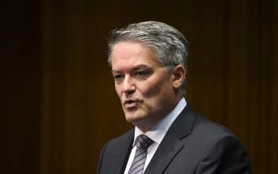 Industria de semiconductores de México tiene un “futuro prometedor”: OCDE