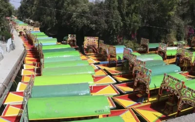 Recuperan hectárea de zona chinampera en Xochimilco