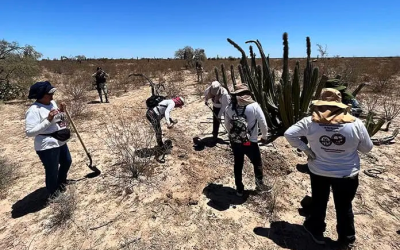 Desapariciones aumentan 213% en una década: México Evalúa