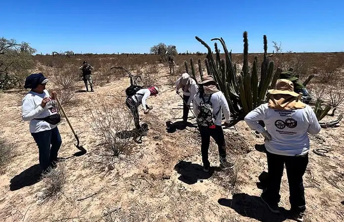 Desapariciones aumentan 213% en una década: México Evalúa
