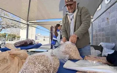 Sufren para vender frijol