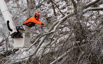 Tormenta invernal amenaza este de EU