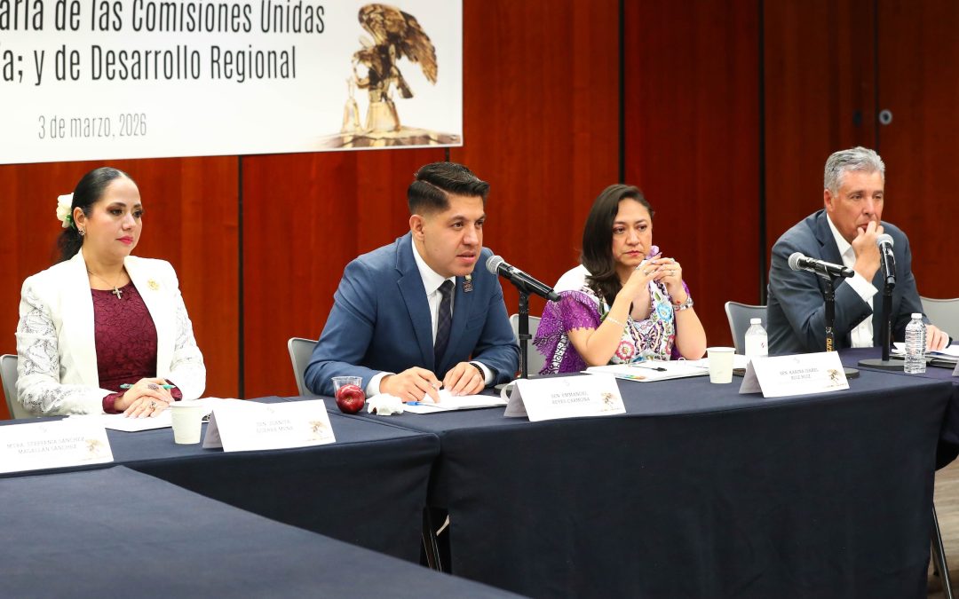 Se reunirá Comisión de Economía en el Senado con Grupo de Trabajo sobre Empresas y Derechos Humanos de la ONU