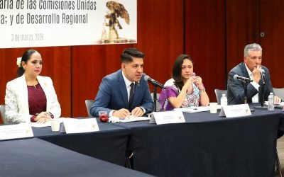 Se reunirá Comisión de Economía en el Senado con Grupo de Trabajo sobre Empresas y Derechos Humanos de la ONU