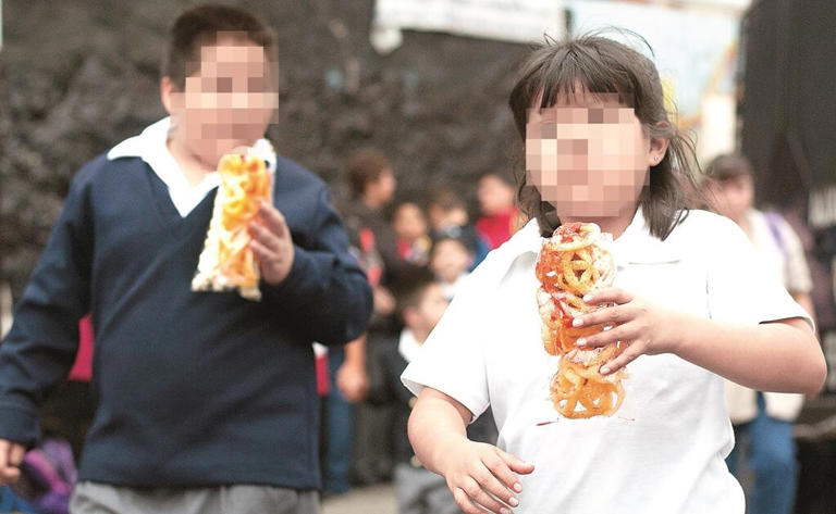 México, en el octavo lugar a nivel mundial en obesidad infantil